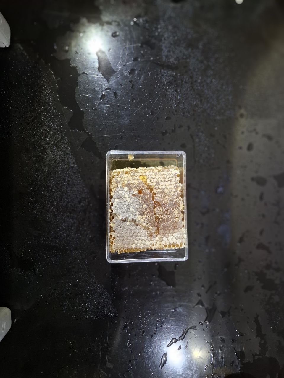 شان چهل گیاه نیم کیلویی  خالص