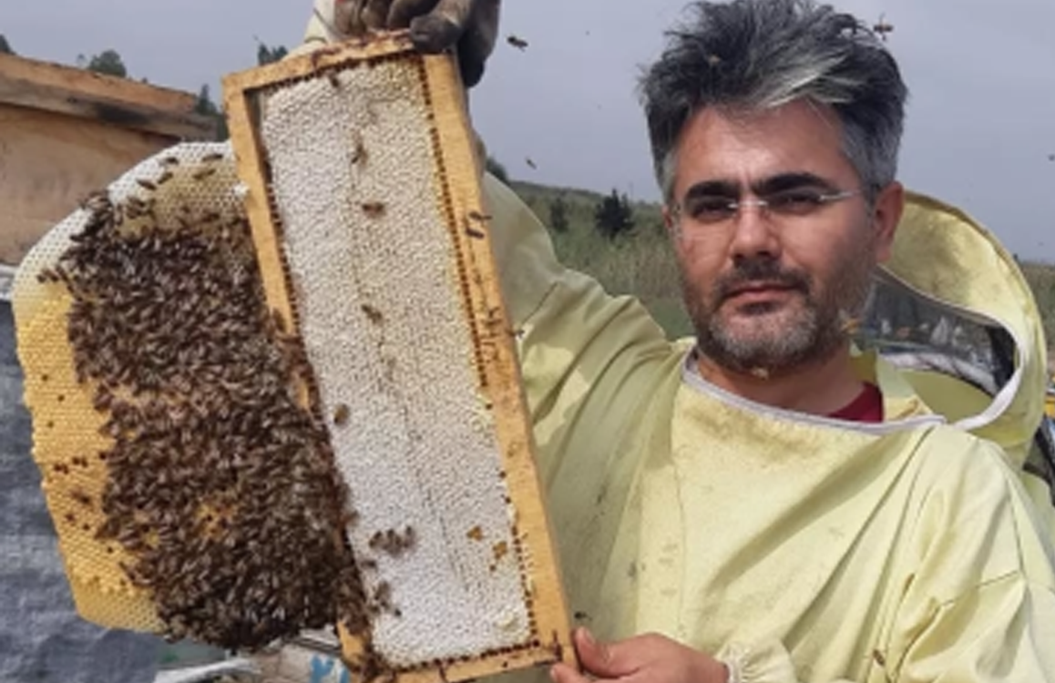 شان عسل طبیعی